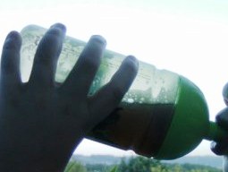 Trinkflaschen ohne BPA