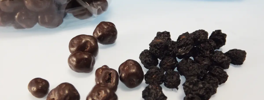 Schokolierte Trockenfrüchte selbst machen - einfach & lecker